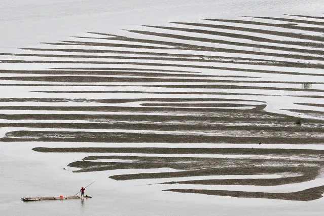 “Texture After A Low Tide”. This is one of the wonders of the sea at low tide, we can just imagined it was a peacock feather, and a boat adventures. Location: Qi Du, Xiapu, Fu Jian of China. (Photo and caption by Cheryl Tan/National Geographic Traveler Photo Contest)