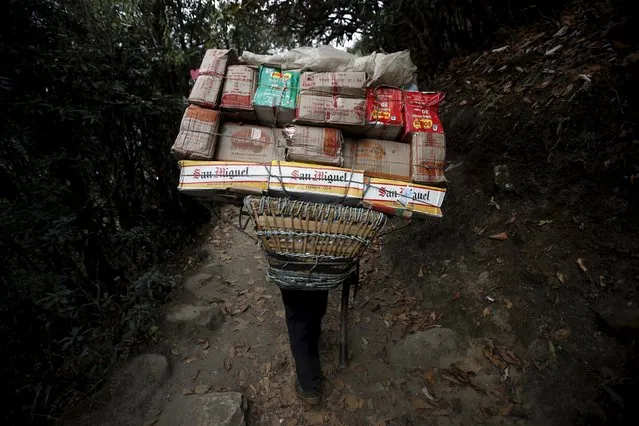 A porter carrying goods heads towards Namche, in Solukhumbu district, also known as the Everest region, in this picture taken November 28, 2015. (Photo by Navesh Chitrakar/Reuters)