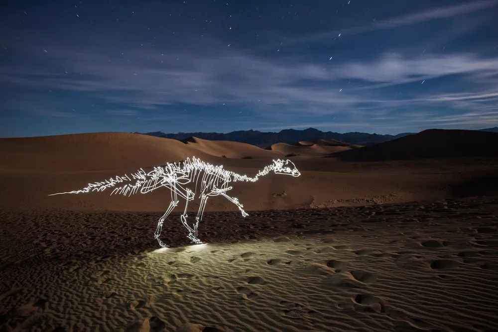 Dinosaur Light Paintings by Darren Pearson