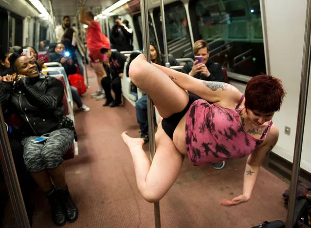 A participant in the No Pants Subway Ride DC, jumps on a pole while riding the Metro on January 10, 2016 in Washington, DC. (Photo by Andrew Caballero-Reynolds/AFP Photo)