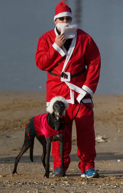 A man dressed as Santa stands with his dog as waits to take part in the beach fun run as part of the Santa Run and Surf 2016 at Fistral Beach in Newquay on December 4, 2016 in Cornwall, England. (Photo by Matt Cardy/Getty Images)