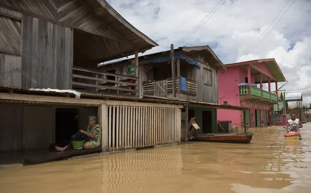 Residents are pictured in a neighbourhood flooded by the Purus river, which continues to rise from days of heavy rainfall in the region, in Boca do Acre, Amazonas state March 14, 2015. (Photo by Bruno Kelly/Reuters)