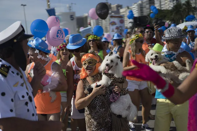 Pet owners hold their dogs which they dressed up in carnival costumes for a pet parade in Rio de Janeiro, Brazil, Sunday, January 31, 2016. (Photo by Leo Correa/AP Photo)