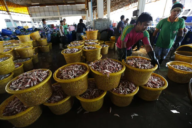Workers sort fish at a wholesale market for fish and other seafood in Mahachai, in Thailand's Samut Sakhon province January 28, 2016. (Photo by Chaiwat Subprasom/Reuters)