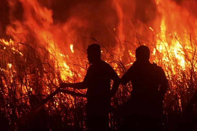 Firefighters attempt to extinguish a fire that razes through a peatland field in Ogan Ilir South Sumatra, Indonesia, Tuesday, September 12, 2023. Indonesian firefighters were trying to extinguish more peatland fires on Indonesia's Sumatra Island on Tuesday. (Photo by Muhammad Hatta/AP Photo)