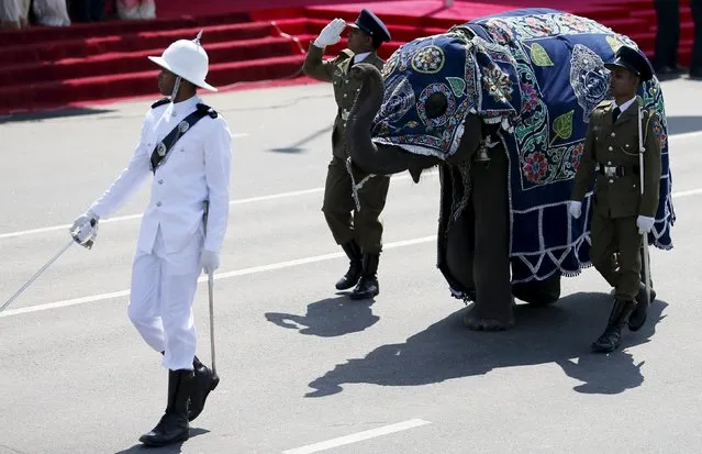 Members from Sri Lankan police march with an elephant during Sri Lanka's 68th Independence day celebrations in Colombo, February 4, 2016. (Photo by Dinuka Liyanawatte/Reuters)