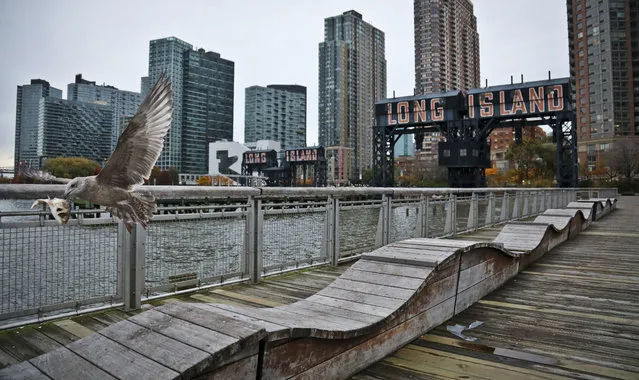 In this November 13, 2018, file photo, a sea gull flies off holding fish scraps near a former dock facility, with “Long Island” painted on old transfer bridges at Gantry State Park in the Long Island City section of the Queens Borough in New York. New York officials say their deal to land a new Amazon headquarters is a big win for the city, but the math is a little more complicated than government projections indicate. (Photo by Bebeto Matthews/AP Photo)