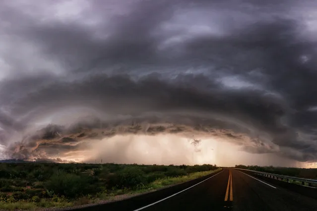 A monster shelf cloud moves towards a small community in San Manuel, Arizona, 12 September 2016. Thousands of rain drops merge to form mammoth travelling sheets of water in these breathtaking monsoons. Veteran storm chaser and photographer Mike Olbinski captured the stunning beauty of monsoons in timelapses and stills while chasing storm systems across America. After years on the road the photographer has perfected his set up and takes every setback in his stride as he tries to get ahead of every storm. (Photo by Mike Olbinski/Barcroft Images)