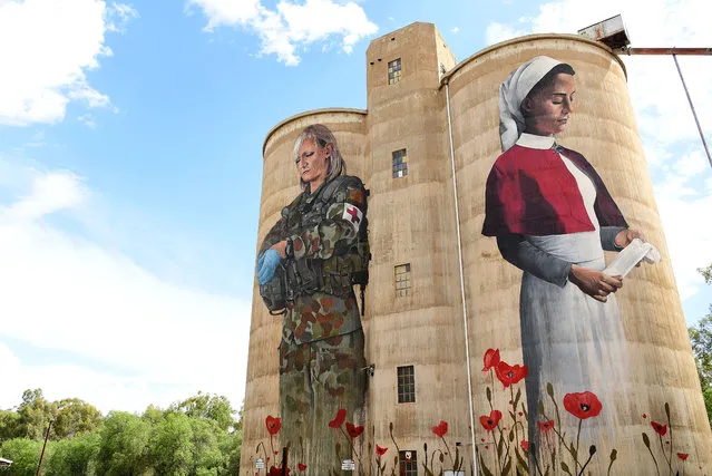 The Devenish Silo Artwork painted by Melbourne artist Cam Scale is seen on March 04, 2019 in Devenish, Australia. The Silo Art Trail is Australia's largest outdoor gallery. The trail started in 2016 and stretches over 200km, linking Brim with neighbouring towns Lascelles, Patchewollock, Rosebery, Rupanyup and Sheep Hills in the Wimmera Mallee area of rural Victoria. The trail recognises and celebrates the region's people through a series of large-scale mural portraits painted onto grain silos, many of which date back to the 1930s. (Photo by Quinn Rooney/Getty Images)