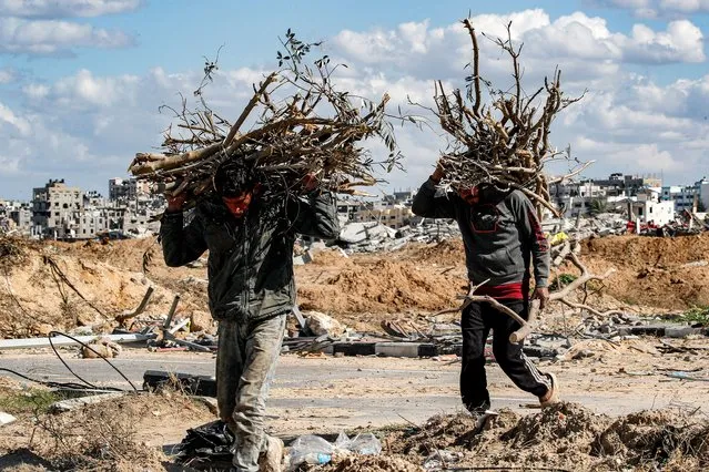 Men walk with collected tree branches to be used as firewood in the Maghazi camp for Palestinian refugees, which was severely damaged by Israeli bombardment amid the ongoing conflict in the Gaza Strip between Israel and the Palestinian militant group Hamas, in the central Gaza Strip on February 1, 2024. (Photo by Anas Baba/AFP Photo)