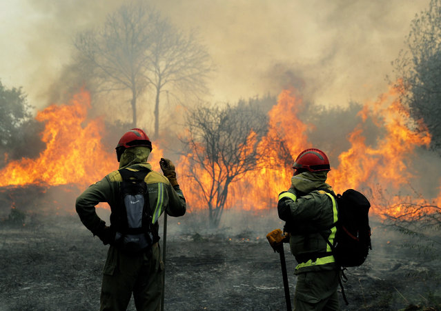 Firefighters try to extinguish a forest fire in the town of Rianxo, province of Galicia, northwestern Spain, 26 March 2019. A total of 750 hectares have been blazed by the forest fire that started a day earlier affecting the towns of Dodro and Rianxo. (Photo by Lavandeira Jr./EPA/EFE)