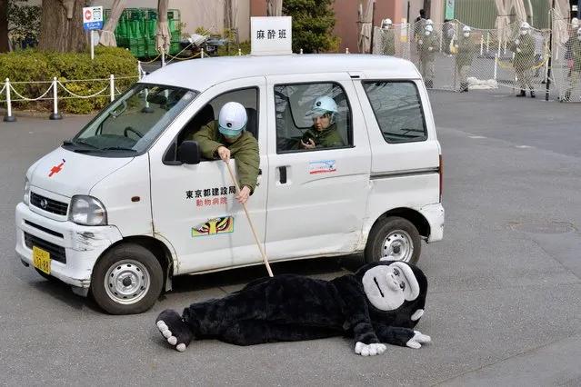 Zookeepers check a an animal keeper dressed in a gorilla costume during a drill to practice what to do in the event of an animal escape at the Ueno zoo in Tokyo on February 6, 2014. About 70 zookeepers participated in the annual drill. (Photo by Kazuhiro Nogi/AFP Photo)
