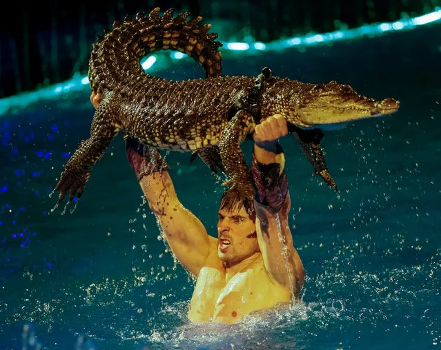 A crocodile and its tamer perform during the presentation of the new show “Water and Fire” at the National Circus in Kiev, Ukraine, February 16, 2017. (Photo by Gleb Garanich/Reuters)