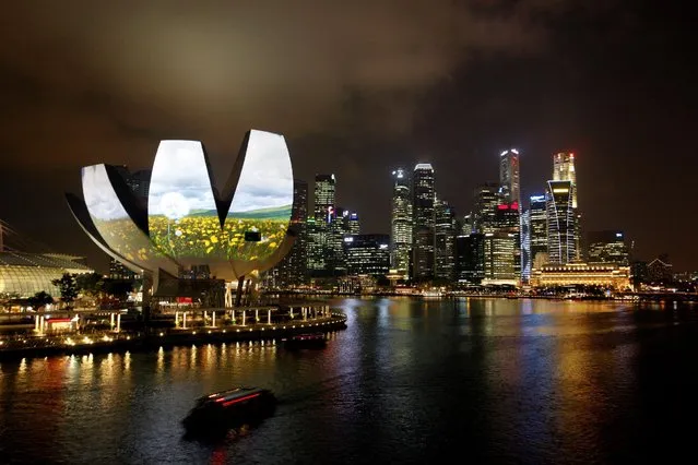 Garden of Light, an animation by Hexogon Solution of Singapore, is projected on the ArtScience Museum during a media preview of the i Light Marina Bay sustainable light art festival in Singapore March 7, 2012. (Photo by Edgar Su/Reuters)