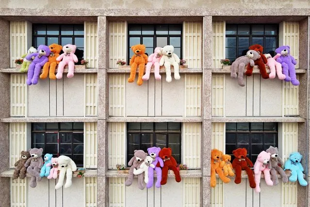 A view of fluffy toy bears displayed for attraction outside the windows of a hotel in Yantai in Shandong province Thursday, January 6, 2022. (Photo by Tang Ke/Future Publishing via Getty Images)