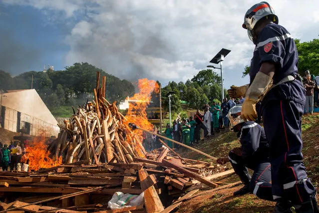 Ivory carvings and elephant tusks are lit on fire by firefighters for the first Cameroon ivory burn, attended by U.S. Ambassador to the United Nations Samantha Power at the Palais des Congres in Yaounde, Cameroon, Tuesday, April 19, 2016, to highlight the need to halt the Ivory trade in order to save Africa's elephants. Power is visiting Cameroon, Chad, and Nigeria to highlight the growing threat Boko Haram poses to the Lake Chad Basin region. (Photo by Andrew Harnik/AP Photo)