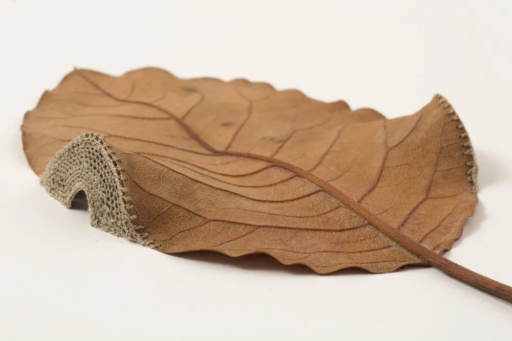 Crocheted Leaf Art by Susanna Bauer 