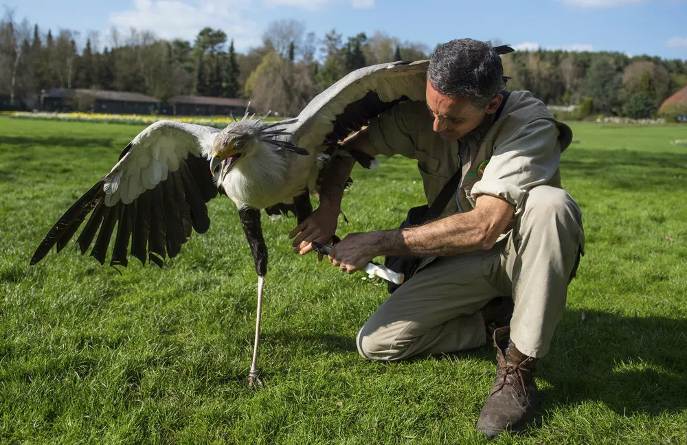 The Day in Photos – April 11, 2017