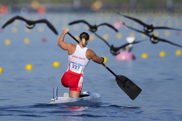 Dorota Borowska, of Poland, trains ahead of competing in the women's canoe single 200-meter heats at the 2024 Summer Olympics, Thursday, August 8, 2024, in Vaires-sur-Marne, France. (Photo by Ebrahim Noroozi/AP Photo)