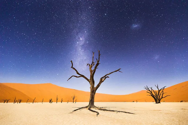 Merit: A Night at Deadvlei. The night before returning to Windhoek, we spent several hours at Deadveli. The moon was bright enough to illuminate the sand dunes in the distance, but the skies were still dark enough to clearly see the milky way and magellanic clouds. Deadveli means “dead marsh. (Photo and caption by Beth McCarley/National Geographic Traveler Photo Contest)