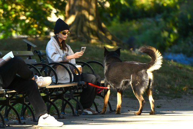 American model Emily Ratajkowski and her dog Colombo seen out on October 08, 2024 in New York City. (Photo by Robert Kamau/GC Images)