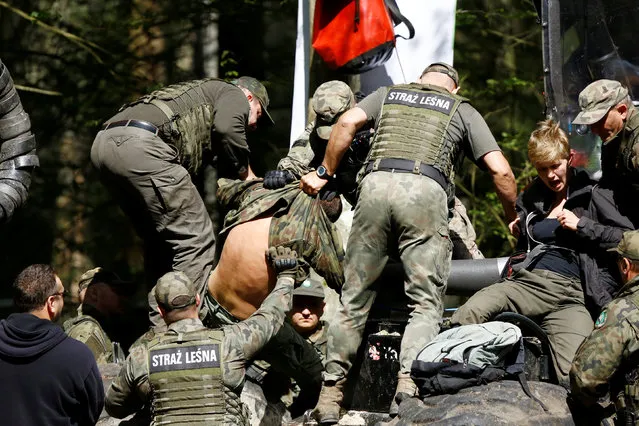 Forest guards remove environmental activists from several countries during their action in the defence of one of the last primeval forests in Europe, Bialowieza forest, Poland August 29, 2017. (Photo by Kacper Pempel/Reuters)