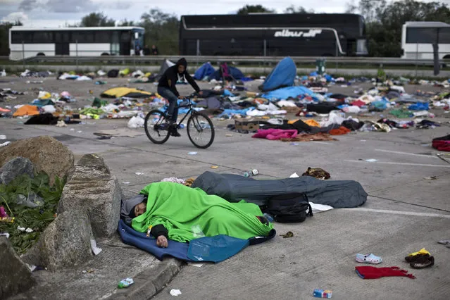 A man sleeps in a parking lot as buses organized by the Austrian government line up in Hegyeshalom, Hungary, Sunday, September 6, 2015. The Austrian authorities have organized a bus service for migrants and refugees reaching the Hungarian border town of Hegyeshalom, with the buses transporting people to the Austrian border with Germany. (Photo by Marko Drobnjakovic/AP Photo)