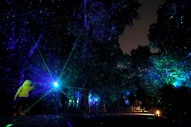 Visitors walk through the installation “Ancient Forest” which is part of the exhibit “Enchanted: Forest of Light” at Descanso Gardens in La Canada Flintridge, California on November 22, 2017. (Photo by Mario Anzuoni/Reuters)