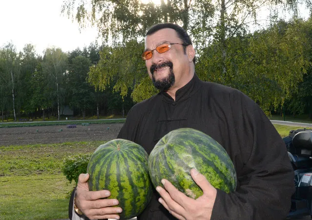 In this photo taken Wednesday, August 24, 2016, Hollywood actor and producer Steven Seagal holds two watermelons in the Belarus' presidential residence of Drozdy, outside Minsk, Belarus. Belarus' farm-loving President Alexander Lukashenko has treated American action hero Steven Seagal to a harvest of carrots and watermelons at his out-of-town residence. (Photo by Andrei Stasevich/Pool Photo via AP Photo)