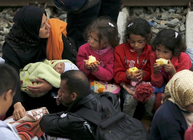 Migrants eat as they wait to board a train at the station in Tovarnik, Croatia, September 20, 2015. (Photo by Antonio Bronic/Reuters)