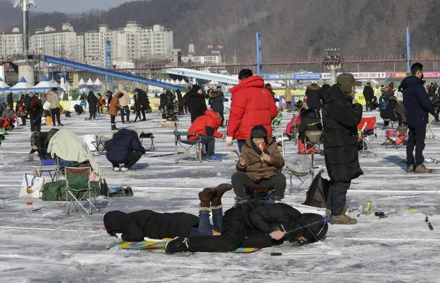 Anglers cast lines through holes drilled in the surface of a frozen river during a trout catching contest in Hwacheon, South Korea, Saturday, January 6, 2018. (Photo by Ahn Young-joon/AP Photo)