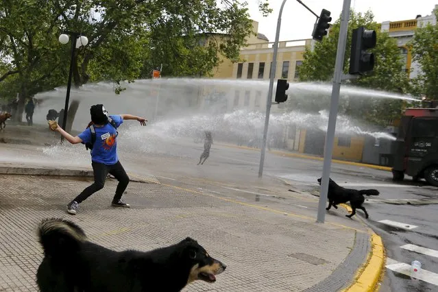 A Mapuche Indian activist prepares to throw a stone at riot police vehicle during a protest march by Mapuche Indian activists against Columbus Day in downtown Santiago, Chile, October 12, 2015. (Photo by Ivan Alvarado/Reuters)