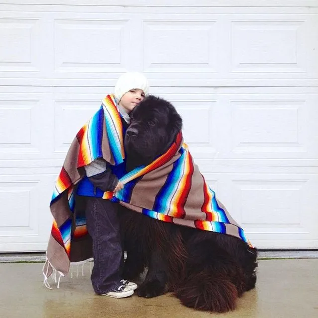 Hats off (or on) to Julian for sharing his blanket with his good buddy. Not that the furry beast needs it... (Photo by Stasha Becker/Rex Features)