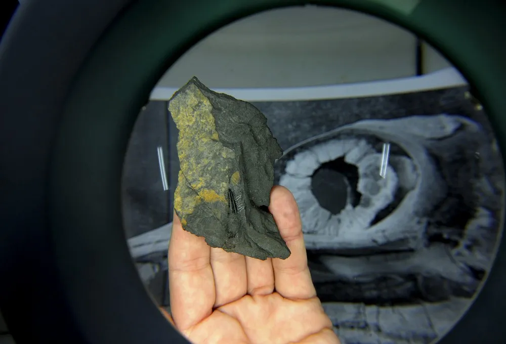 Jurassic Park in Spain