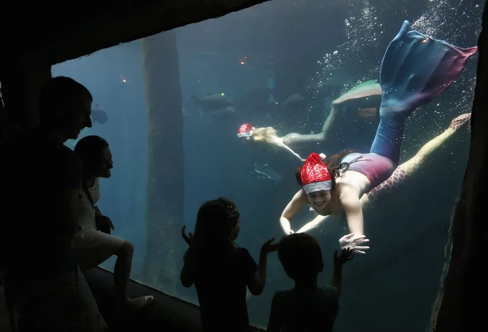 Christams Madness Around the World: Underwater