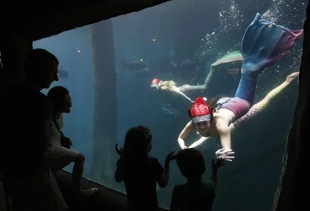 Visitors wave to a woman dressed as a mermaid wearing a Santa Claus cap as she performs from inside a tank at the Sao Paulo Aquarium December 17, 2014. According to organizers, the performance aims to narrate about the myth and legend of mermaids. (Photo by Paulo Whitaker/Reuters)