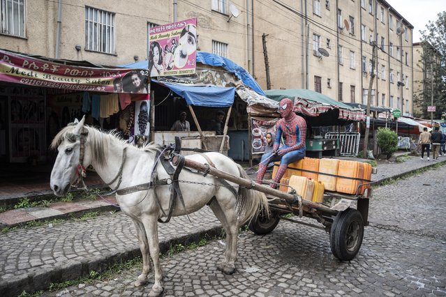 A man dressed in a Spiderman costume and known as Ethio-Spiderman sits on a horse cart in Addis Ababa, Ethiopia on August 12, 2024. Ethio-Spiderman has become an internet sensation in Ethiopia, with viral TikTok videos inspiring people in Addis Ababa and beyond to engage in community service and make a positive impact. (Photo by Amanuel Sileshi/AFP Photo)