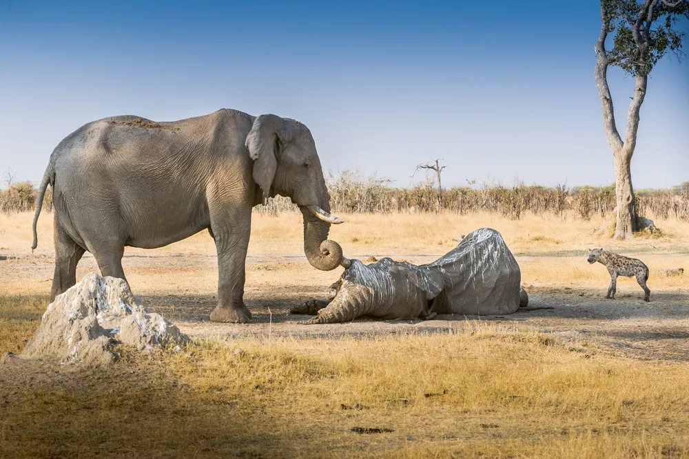 ALL 2012 National Geographic Traveler Photo Contest – in HIGH RESOLUTION. Part I: “Outdoor Scenes” – Weeks 7-14 (68 Photos)