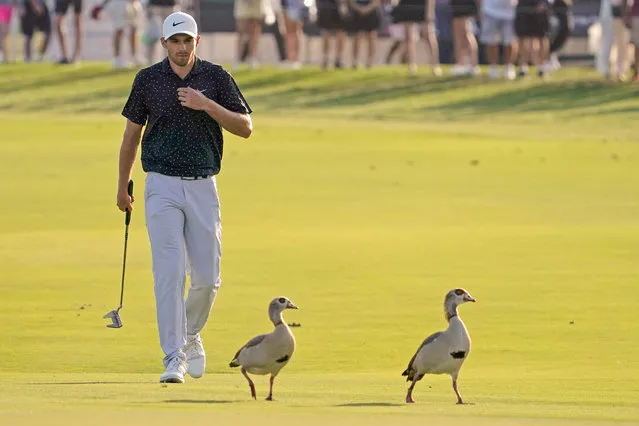 Aaron Wise walks up to the 18th green behind a pair of Egyptian geese during the third round of The Honda Classic golf tournament in Palm Beach Gardens, Florida on March 20, 2021. (Photo by Jasen Vinlove/USA TODAY Sports)
