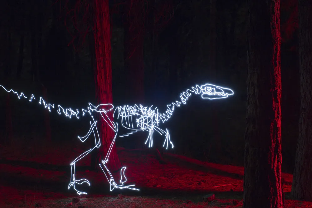 Dinosaur Light Paintings by Darren Pearson