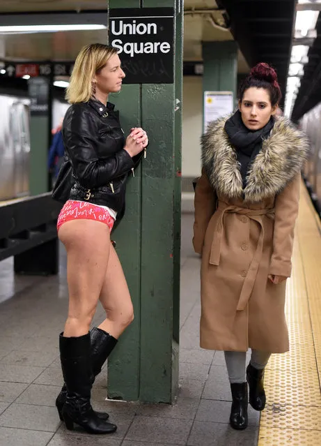 A participant in the "No Pants Subway Ride"  stands on a New York City subway platform January 10, 2016 in New York. The "No Pants Subway Ride"  is an annual event started in 2002 by Improv Everywhere in New York, the goal  of which is for riders ride the subway train dressed in normal winter clothes without pants while keeping a straight face. (Photo by Timothy A. Clary/AFP Photo)