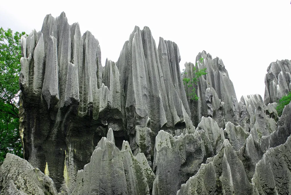 Shilin Stone Forest