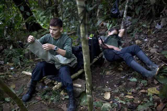 In this January 4, 2016 photo, Oscar, a rebel soldier for the 36th Front of the Revolutionary Armed Forces of Colombia, or FARC, mends a pair of pants while his “socia” Gisell rests in a hammock, in a hidden camp in Antioquia state, in the northwest Andes of Colombia. Inside the rebel organization, the idea of “socia” arose because the man cannot offer material wealth, so the girlfriends of the male rebels are referred to as a “socia” or partner. (Photo by Rodrigo Abd/AP Photo)