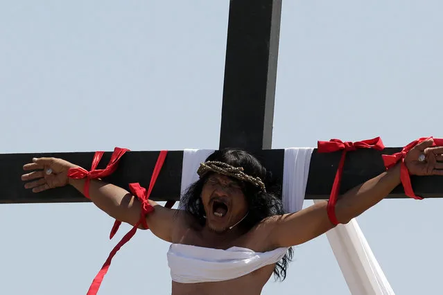 Filipino penitent Ruben Enaje grimaces in pain as he is nailed to a wooden cross for the 29th year, during the re-enactment of the crucifixion of Jesus Christ on Good Friday, in San Pedro Cutud village, San Fernando city, north of Manila, Philippines, 03 April 2015. (Photo by Ritchie B. Tongo/EPA)