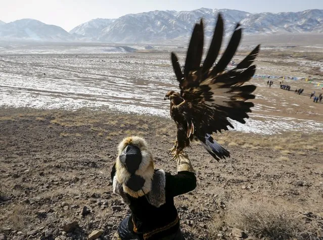 A hunter releases his tamed golden eagle during the traditional hunting contest outside the village of Nura, east from Almaty, Kazakhstan, February 13, 2016. (Photo by Shamil Zhumatov/Reuters)