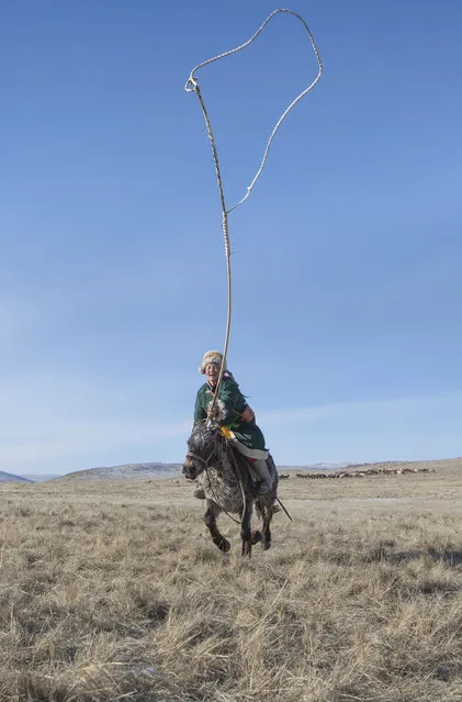 Mongolian Horsemen with their horses. (Photo by Batzaya Choijiljav/Caters News)
