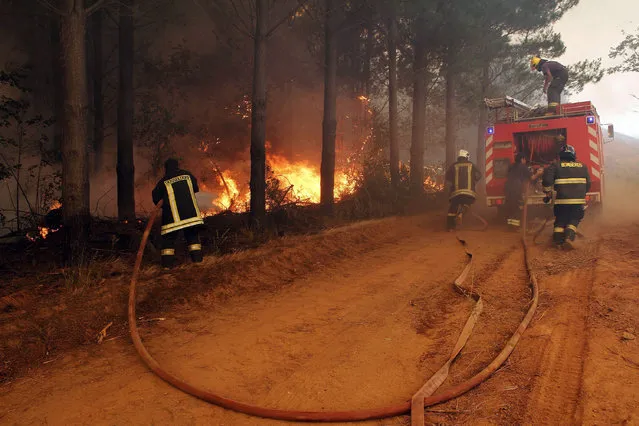 Firemen work to control and extinguish a forest fire in Cauquenes, Bio Bio Region, Chile, 22 January 2017. Some 1,200 members of the Amed Forces and over 500 firemen were deployed to fight the flames that affected the southern areas of O'Higgins and El Maule. A state of emergenfy was declared in the area, media reported. (Photo by Dragomir Yancovic/EPA)