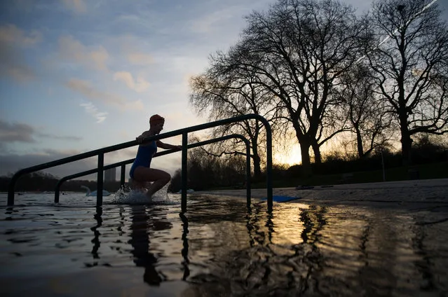 A swimmer leaves the water after an early morning swim in the Serpentine Lake in Hyde Park, central London on February 3, 2017. (Photo by AFP Photo)