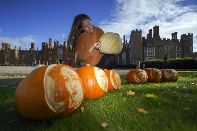 Palace Gardener Justine Howlett adds the finishing touches to pumpkins bearing the face of Henry VIII and his wives, at Hampton Court Palace in Richmond upon Thames on Friday, October 22, 2021. The pumpkins form part of the palace's Halloween decorations ahead of half term. (Photo by Steve Parsons/PA Images via Getty Images)