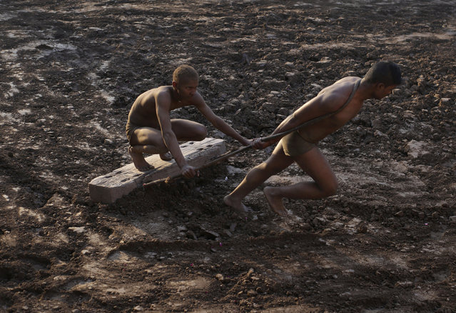 Wrestlers prepare the ground as part of their training for the national sport of Kushti, in Lahore, Pakistan, Monday, January 28, 2019. Kushti, also known as Pehlwani, is a several thousand year-old sport and is practiced in the Indian subcontinent. The wrestlers train and compete on dirt floors, cleared of stones and dyed red. (Photo by K.M. Chaudary/AP Photo)